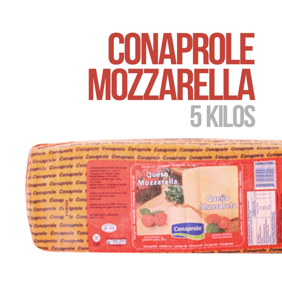Conaprole Mozzarella Cheese 5 kg
